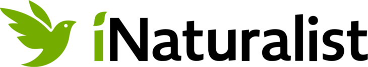 inaturalist