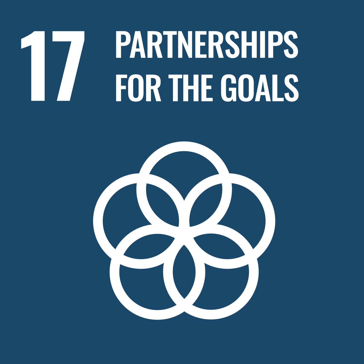 UN Sustainability Goal Icon #17